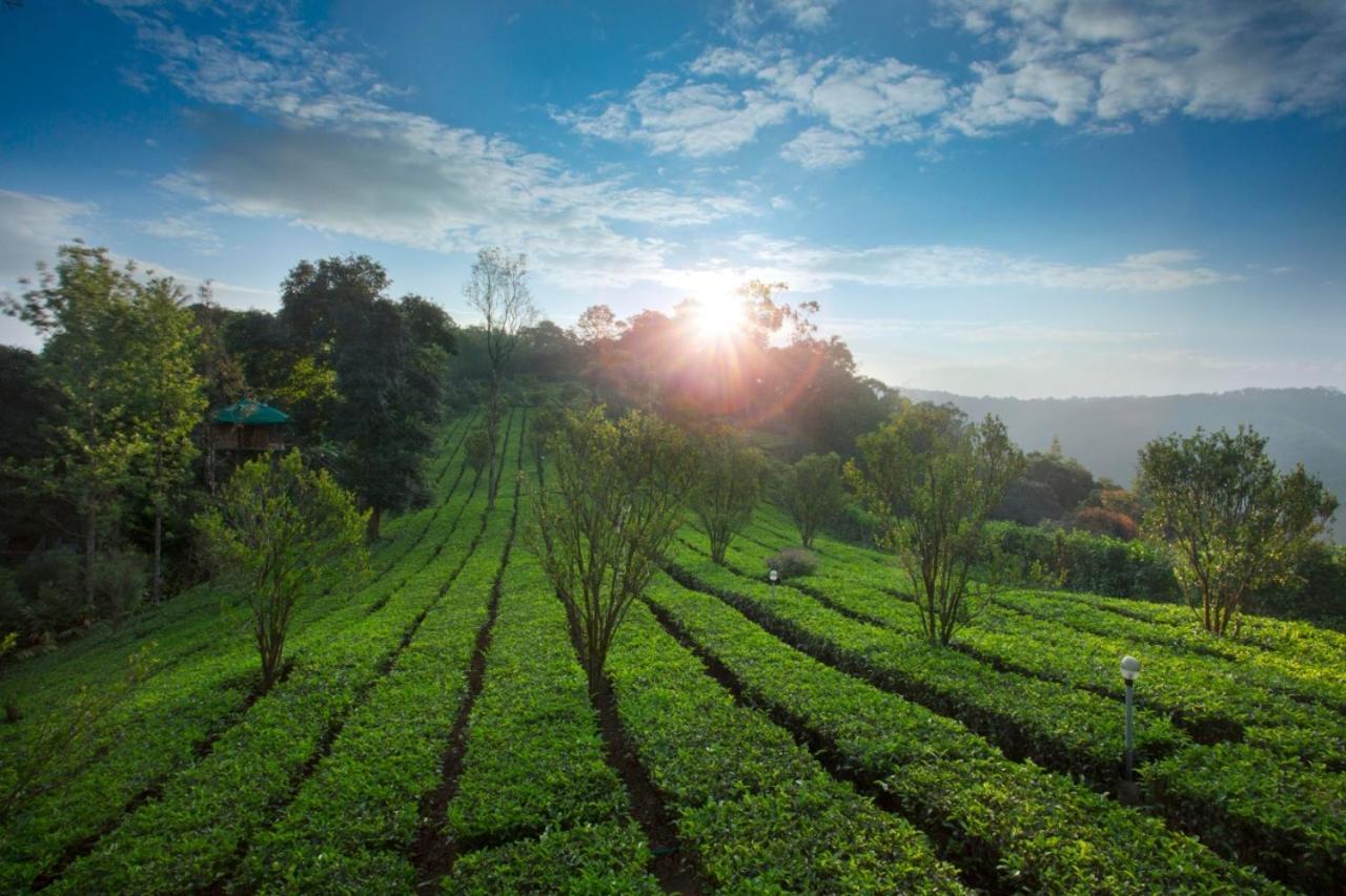 Sisiram River Side Munnar Zewnętrze zdjęcie