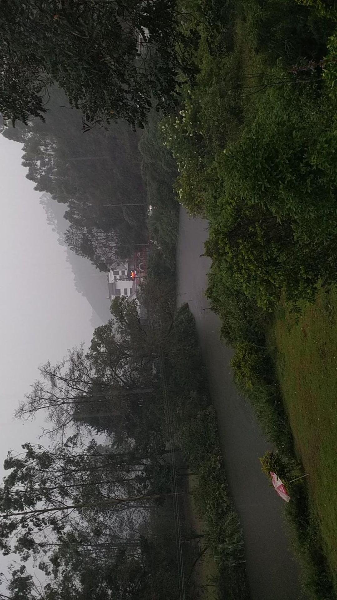 Sisiram River Side Munnar Zewnętrze zdjęcie